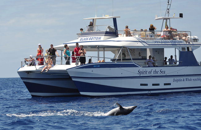 Spirit of the Sea cruise with transfer - Photo 4