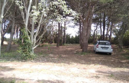 Sardinia Ovest 2 - Foto 27