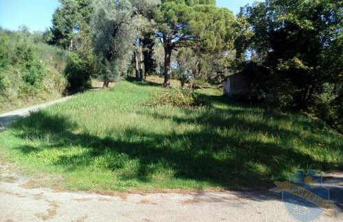 The Olive Tree House - Foto 70