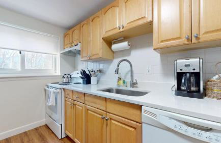 Beautiful, Homey 1BR Close to Longwood Medical - Foto 8