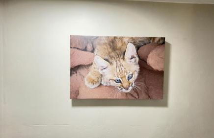 Private Home - Heated Pool, Billiards, Darts, Foosball, Fireplace, 5 Smart TVs, BBQ, Cotton Bedding - The Saguaro Sanctuary, Pool Heat Optional - Foto 55