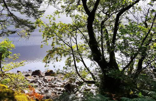 Lochside, 1 The Corries - Foto 38