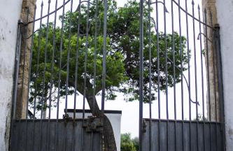 Masseria Marico - Foto 74