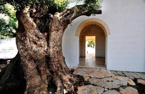 Agriturismo Masseria De Michele - Photo 48