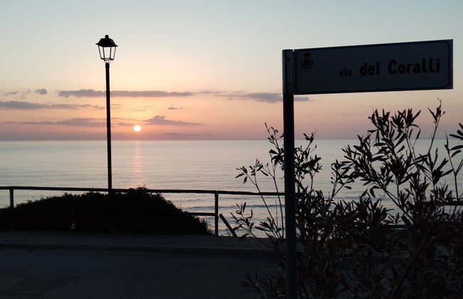 a Vacation That Becomes a Dream - Photo 34