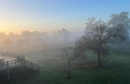 Cottage avec Piscine et Jacuzzi - Normandie - Foto 31