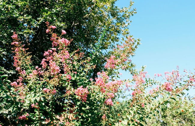 Beautiful Village Bungalow - Foto 34