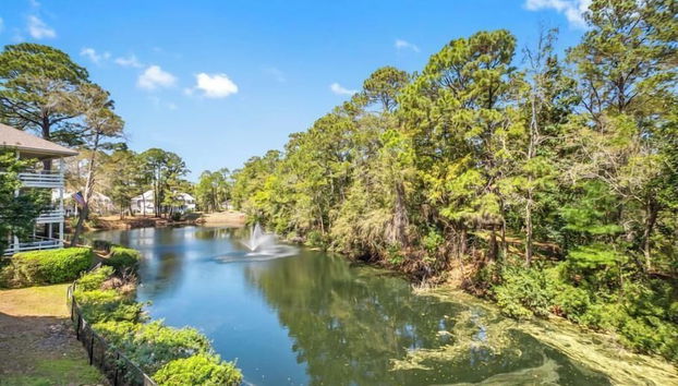 Fiddler's Cove by Hilton Head Retreats - Foto 4, Comodidade do alojamento