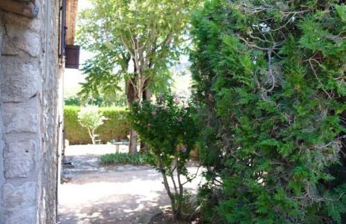 typical mas provençal with swimming pool in a small hamlet near mouriès in the alpilles in provence- 8 persons - Foto 11