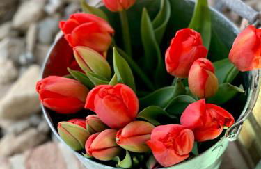 Reethus Linda - Foto 12