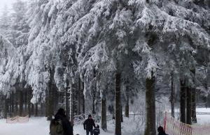 Ferienhaus "Schmetterling" am See im Bergland - Photo 40