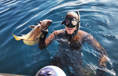 Residence Family Plazina - Place 1 & 2 - Foto 49