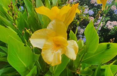 Casa do Monte - Photo 51