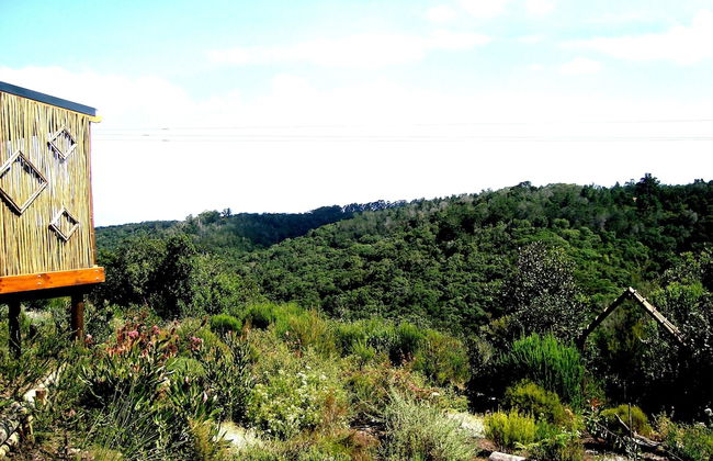 Woodlands Self Catering, Knysna - Foto 37