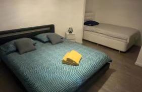 La colmarienne - Foto 1