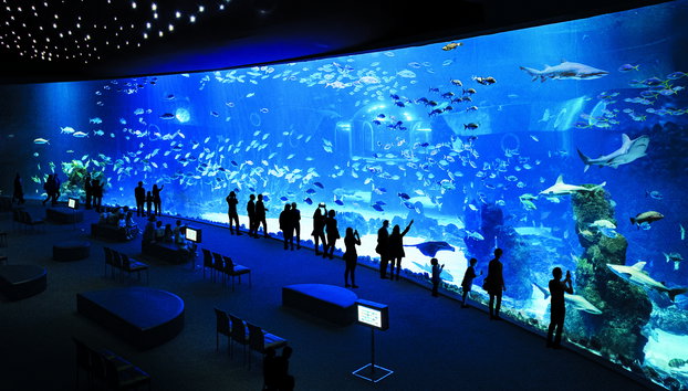 Aquarium Poema del Mar - Foto 4