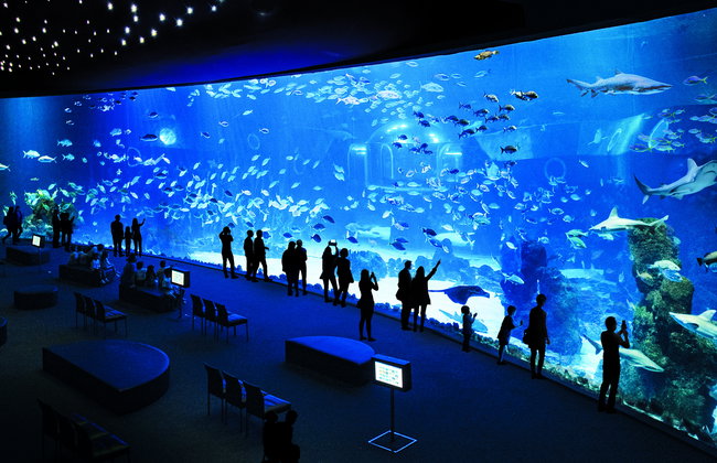 Aquarium Poema del Mar - Photo 4