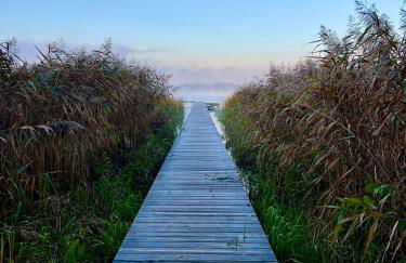 Finnhütte Louise am Storkower See - Foto 40