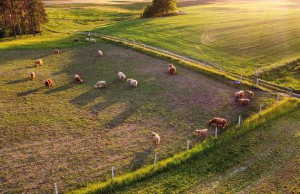 KRASNE POLE Gospodarstwo Rolne - Foto 21
