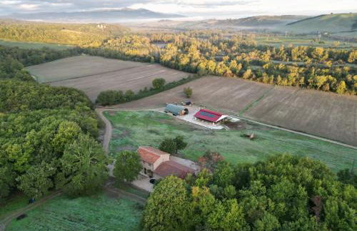 Bioagriturismo il cerreto - Foto 50