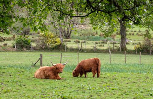 The Four Oaks Chalet - Foto 26