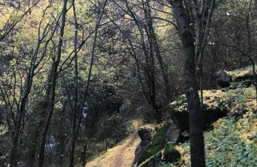 LA GARGANTILLA - Foto 26