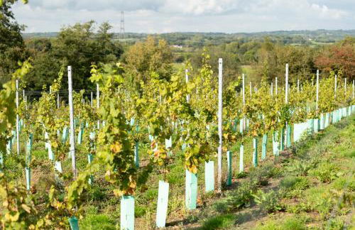 Cosy Mirrored House next to a Magical Swimming Lake - Foto 23