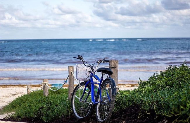 TOUR BACALAR mágico com passeio de Barco Pontão. (Transporte + Café da Manhã + Alimentação) - Foto 6