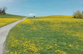 Ferienwohnung Hofen 5 - Foto 15