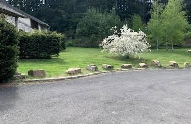 Le Café Crème jardin parking - Foto 16