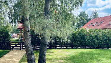 Happy House - Kaszubska Ostoja - Foto 4, Garden, Garden view