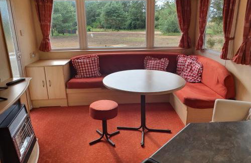 Holenderki na Zielonych Wzgórzach, Łowyń - Foto 17