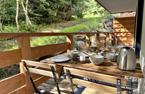 Le lodge de l alpage - Ski in ski out - 2 chambres 1 cabine - Foto 27