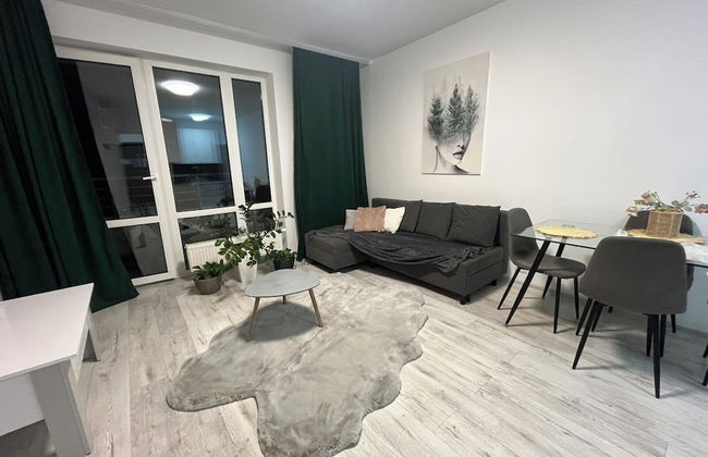 EcoLoft Studios - Foto 56