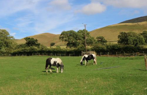 Bridge End - Foto 40