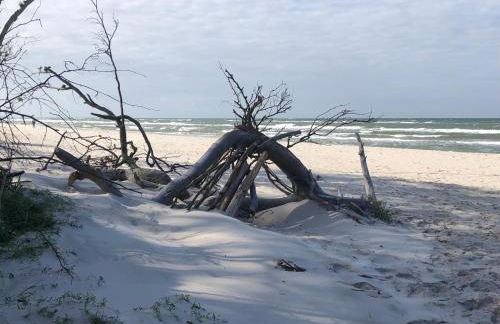 Prerow „Seaside“-strandnah! - Foto 32