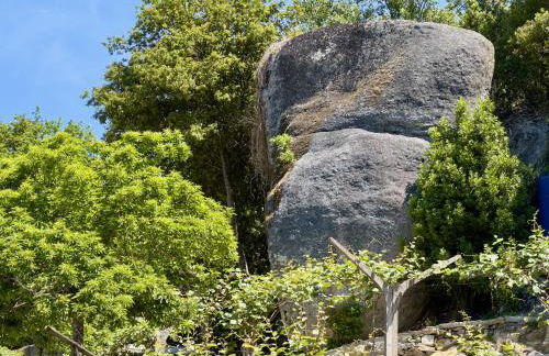 Quinta de CasalMato - Foto 58