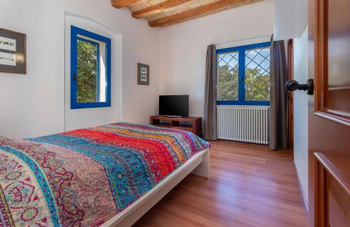 Mas Tinus - Lavanda - Photo 22