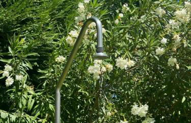 Quinta da Ponte - Foto 5