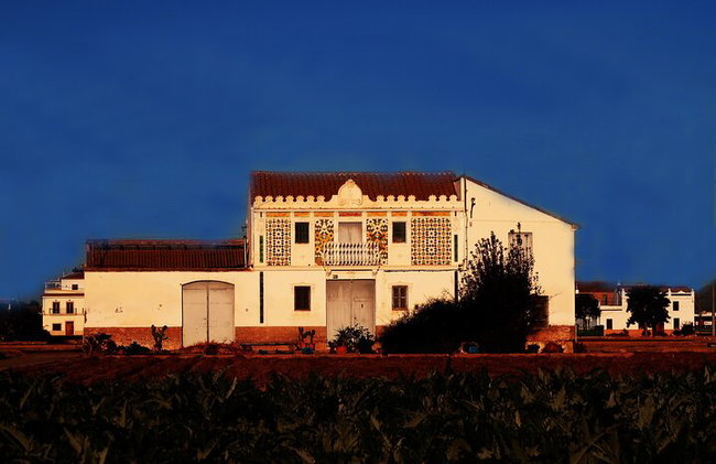 Paella tradicional Valenciana, cocinada con leña de naranjo. - Foto 15