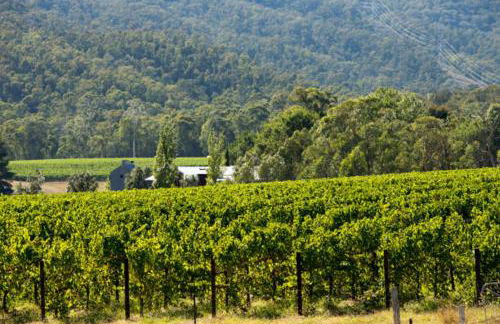 The Garden Studio - Foto 14