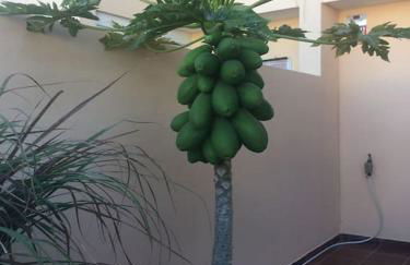 Independiente estudio en acogedora casita de Mai - Foto 33