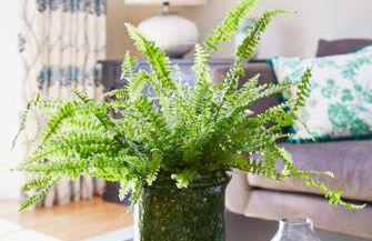 3 bedroom converted chapel in historic Oundle - Foto 12