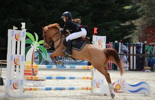 Superbe studio pour congrés au coeur de Cannes - Photo 58