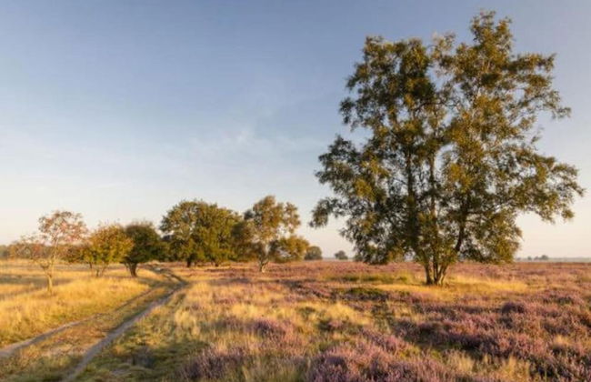 Tranquil Stay in Drenthe - Photo 39