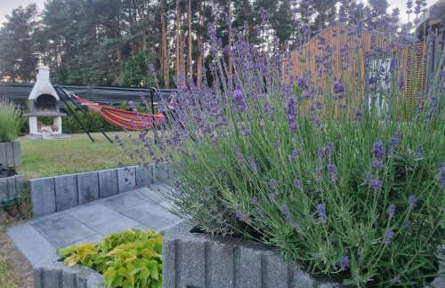 Domek wakacyjny, nad morzem z balią, Lawendowe Wzgórze, - Foto 41