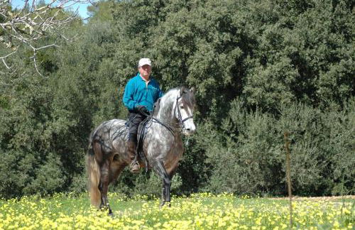 Agroturisme Son Samà - Foto 28