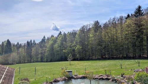 Haus Jägerfleck, Ihre Ferienwohnungen am Nationalpark Bayerischer Wald - Foto 4, Garden, Garden view