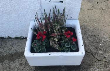 Littles Cottage, heart of the Mournes - Photo 22