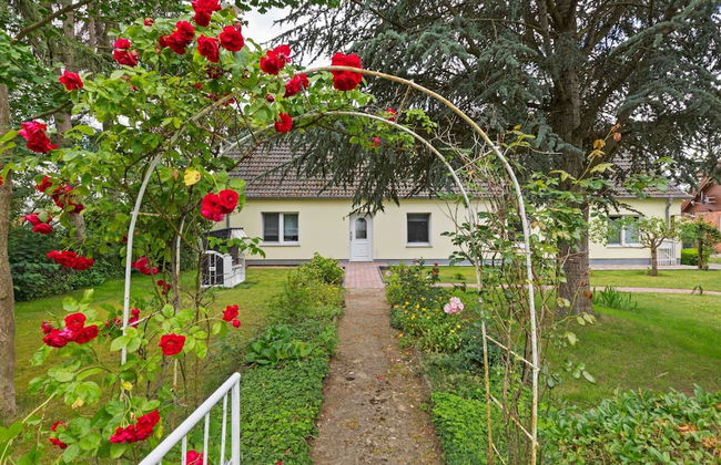 Holiday Home in Zierow With Terrace - Photo 32